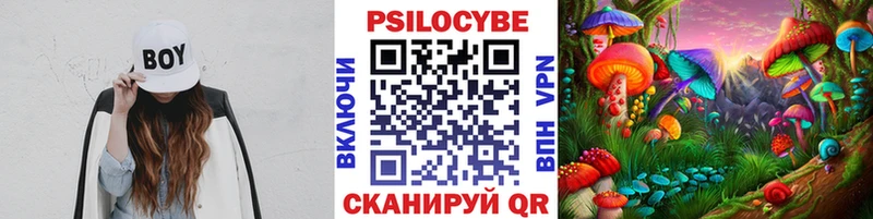 Псилоцибиновые грибы Psilocybine cubensis  что такое   Вилюйск 